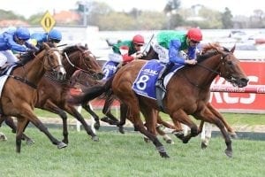 Bonneval primed for Dato