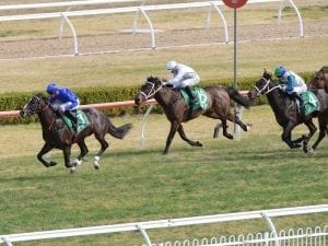 Godolphin 3YO breaks through at Canterbury