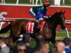 Bonneval ramping up for Melbourne spring