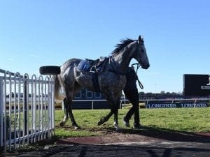 Field determined for Chautauqua trial