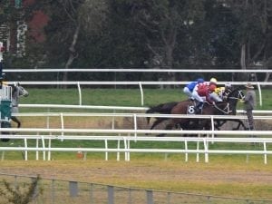 Chautauqua trial at Rosehill indecisive