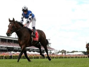 Protectionist