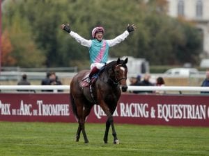 Enable to head to Yorkshire Oaks next