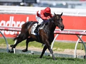 Invincible Star gets Everest slot