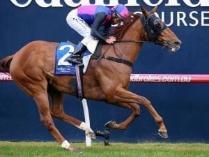 Field of 11 for Group One Memsie Stakes