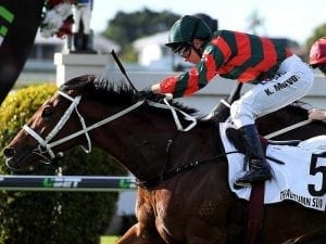 The Autumn Sun Caulfield Guineas favourite