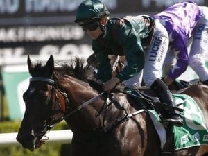 Lanciato primed for Tramway Stakes