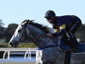 Owner keeping options open for Chautauqua