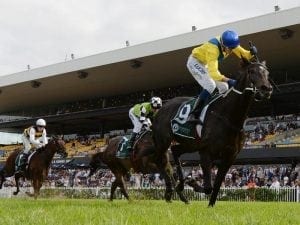 Spring in the air at Cranbourne trials