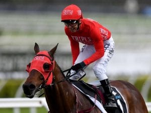 Redzel to begin Everest countdown