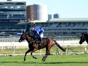 Winx following familiar path to spring