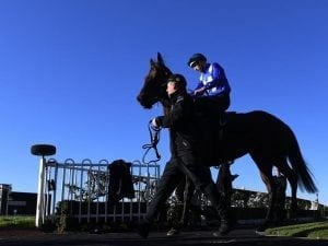 Prince in the big league in Winx Stakes