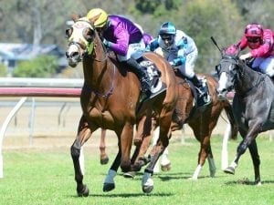 Birdsville omen for Ipswich-winning jockey