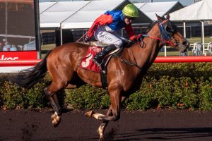 Unstoppable Gary Clarke wins the Palmerston Sprint with Syncline