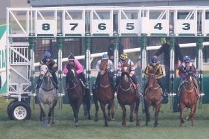 First Sydney 2yo barrier trial at Randwick