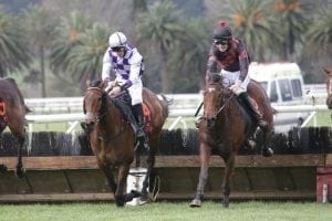 Aussie scores upset in Te Aroha hurdle