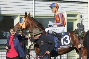 Rusof in line for Kiwi Group 1