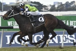 Mister Sea Wolf wins Listed Rowley Mile