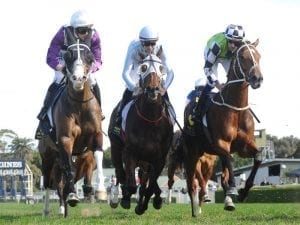 Red Alto comes out on top at Randwick