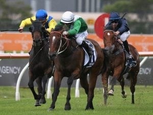 Blinkers back on Oohood for Furious Stakes