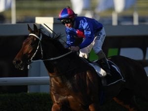 Chocante to make Sydney debut against Winx