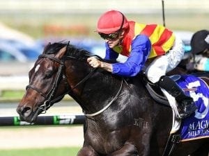 Pierata flying ahead of Missile: McDonald