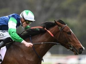 Alexandra Dreaming lands Sandown debut win