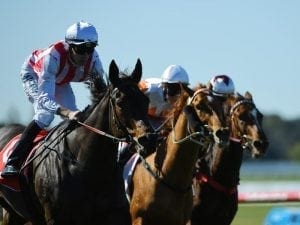 Our Libretto keeps Sandown record intact