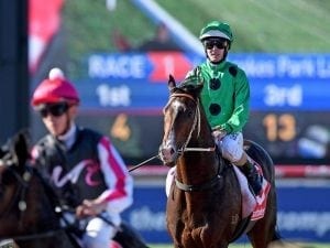 Price Of Caviar set to return at Sandown