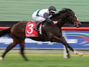 Peidra on Guineas path after Sandown win