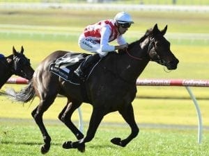 Our Libretto chasing second Sandown win