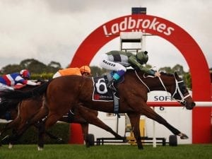 Sandown Hillside betting tips - Wednesday, 26 August 2020