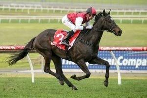 Satori remains unbeaten with Sandown win