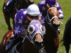 Fortensky to star for Waller, syndicator