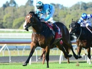 Navy commands interest for in-form stable