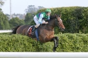 Fannin hoping Opal can sparkle in Hunt Cup