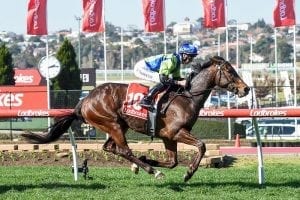 Hobby trainer lands Moonee Valley winner