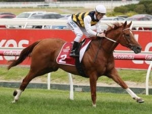 Gailo Chop heads big Cranbourne trial noms