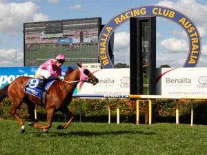 Benalla racing tips