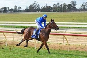 Andrew Mallyon on Esperance