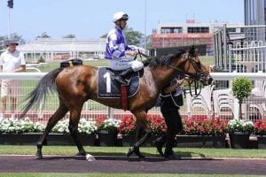 Gauguin wins at Warwick Farm