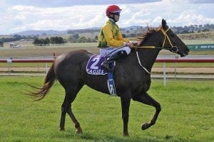 Sarona Downs at Goulburn