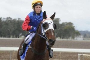 Yawkey Way wins at Cootamundra