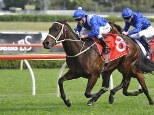 Winx named Australia's champion