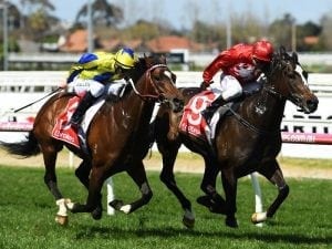 Extra Brut scores narrow Caulfield victory