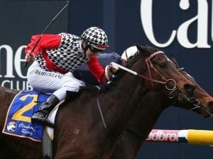 High Church scores narrowly at Caulfield