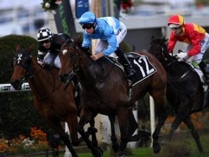 Prompt Response set to resume at Caulfield