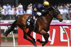 Vengeur Cups bid rest on Naturalism Stakes