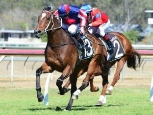 Matt Dunn ready to thunder at Doomben