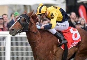 Ellicazoom wins Group Three Cockram Stakes